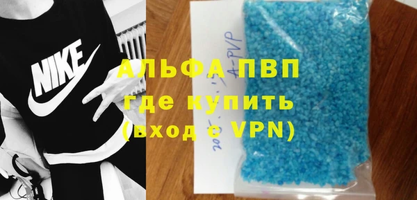 крисы Новозыбков