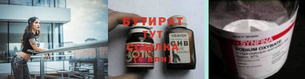 крисы Новозыбков