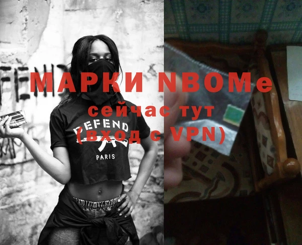 крисы Новозыбков