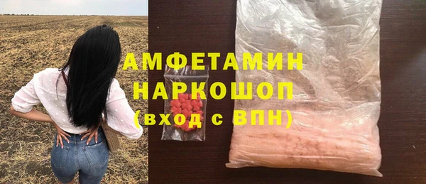 крисы Новозыбков